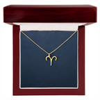 Zodiac Symbol Necklace